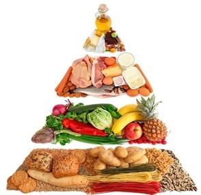 Піраміда харчування